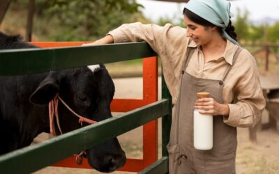 Białko mleka krowiego gdzie występuje w codziennej diecie?