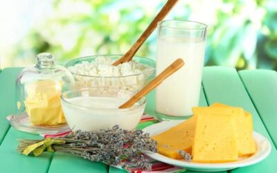 Jak zastąpić nabiał w codziennej diecie?
